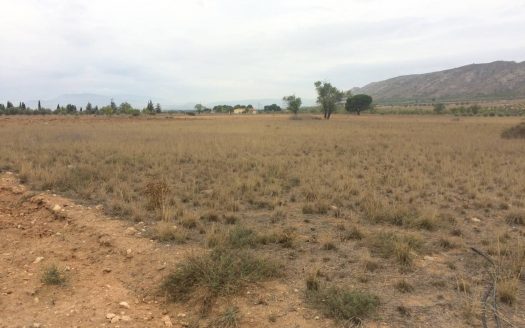 T 215 Terreno en el Toll