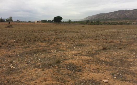 T 215 Terreno en el Toll