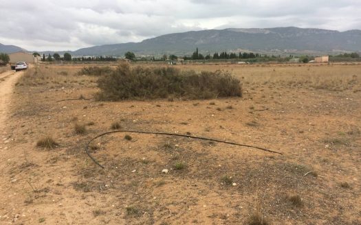 T 215 Terreno en el Toll