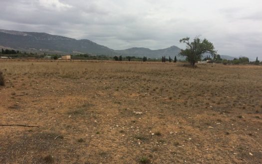 T 215 Terreno en el Toll