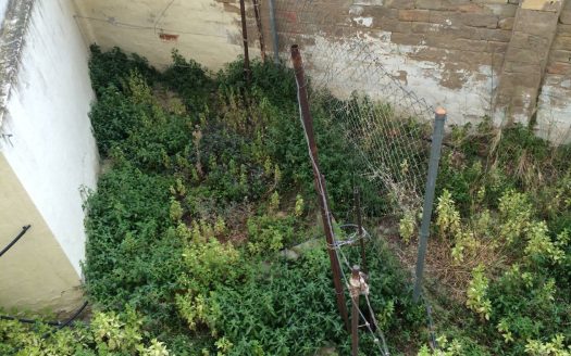 P147 PISO CON JARDIN RECIEN PINTADO