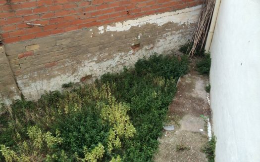 P147 PISO CON JARDIN RECIEN PINTADO