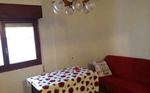 P147 PISO CON JARDIN RECIEN PINTADO