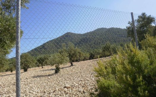Casa de aperos en carretera Biar-Bañeres