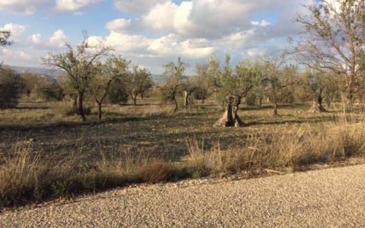 T 208 Terreno en Cañada a 6km de Villena