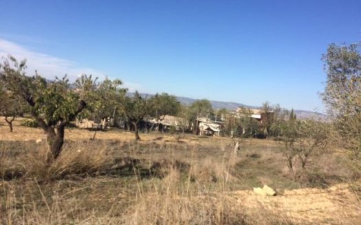 T 208 Terreno en Cañada a 6km de Villena