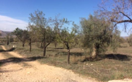 T 208 Terreno en Cañada a 6km de Villena
