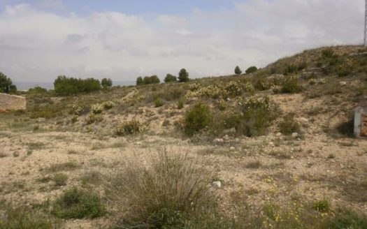 T 090 PARCELA DE 21800 M2 AGUA DE RIEGO Y POTABLE