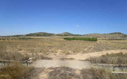 T277 Terreno edificable el 2 por ciento de la parcela