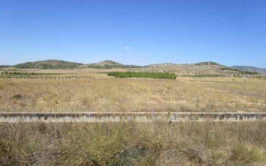 T277 Terreno edificable el 2 por ciento de la parcela