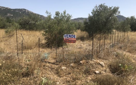 T 291 EN LAS TIESAS ENTRE BIAR Y VILLENA