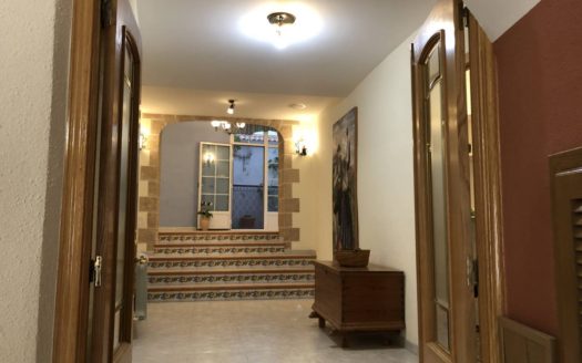 C 255 Casa con terraza y patio