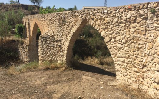 T 275 TERRENO EN BIAR.