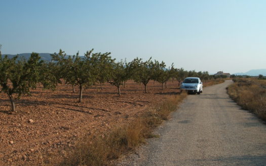 T 040 TERRENO EN BIAR
