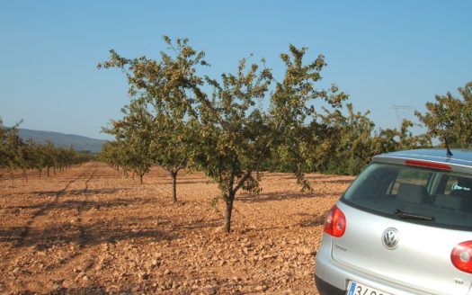 T 038 TERRENO EN BIAR