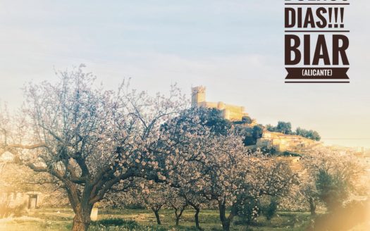 T 163 parcela con olivos se puede edificar el 2%