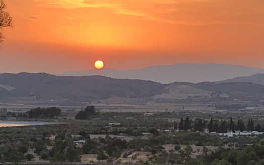 T 275 TERRENO EN BIAR.