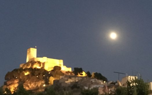 T 163 parcela con olivos se puede edificar el 2%