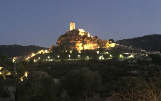 T 275 TERRENO EN BIAR.