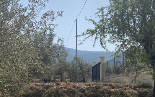 CT 108 Terreno en Bañeres 3800m2 con casita de 20m2 luz y agua