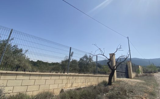 CT 108 Terreno en Bañeres 3800m2 con casita de 20m2 luz y agua