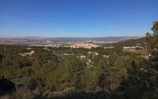 T 269 Terreno en Biar de unos 18.000m2