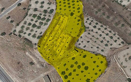 CT 101 almacen agricola en zona industrial