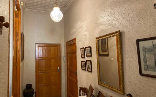 P 330 Primer piso en la calle Barrera con techos altos y suelos hidraulicos mas una tercera parte de un solar urbano
