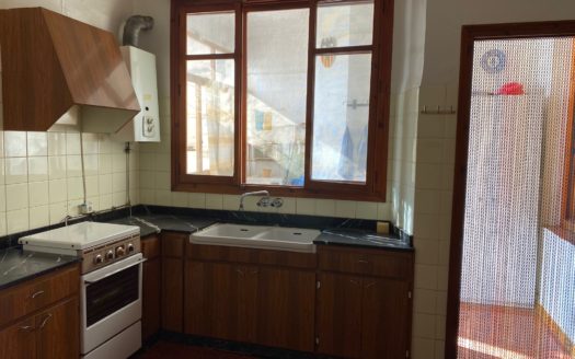P 330 Primer piso en la calle Barrera con techos altos y suelos hidraulicos mas una tercera parte de un solar urbano