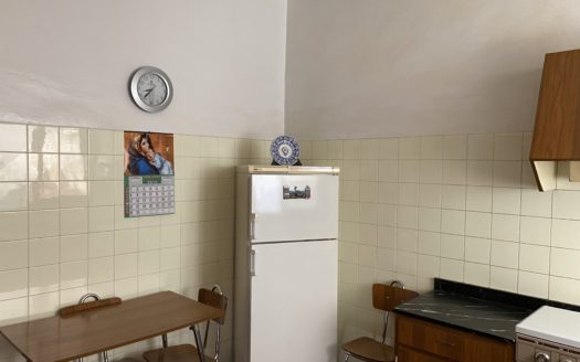 P 330 Primer piso en la calle Barrera con techos altos y suelos hidraulicos mas una tercera parte de un solar urbano