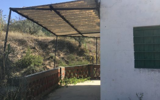 CT 096 Almacen agricola en zona protegida en Biar.