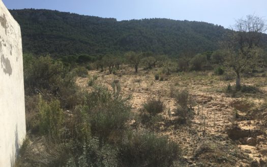 CT 096 Almacen agricola en zona protegida en Biar.