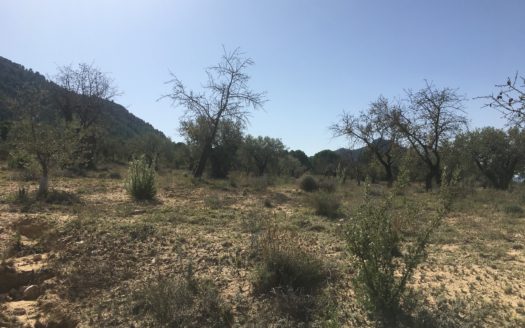 CT 096 Almacen agricola en zona protegida en Biar.