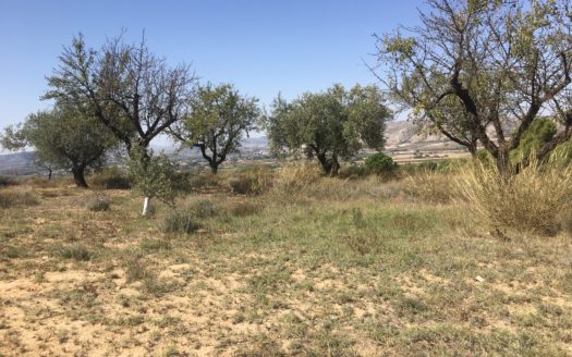 CT 096 Almacen agricola en zona protegida en Biar.