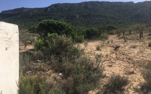 CT 096 Almacen agricola en zona protegida en Biar.