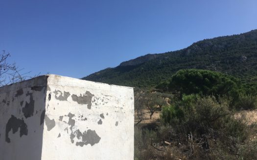 CT 096 Almacen agricola en zona protegida en Biar.