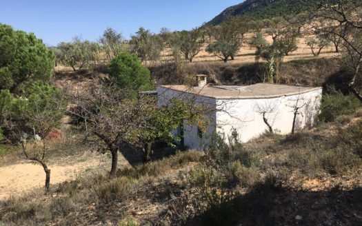 CT 096 Almacen agricola en zona protegida en Biar.