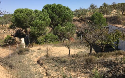 CT 096 Almacen agricola en zona protegida en Biar.