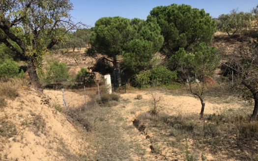 CT 096 Almacen agricola en zona protegida en Biar.