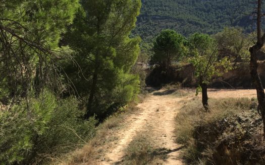 CT 096 Almacen agricola en zona protegida en Biar.