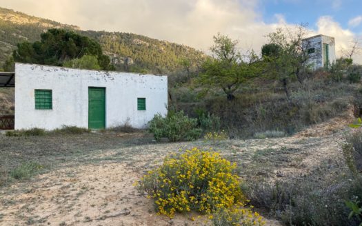 CT 096 Almacen agricola en zona protegida en Biar.