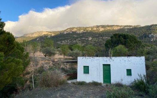 CT 096 Almacen agricola en zona protegida en Biar.