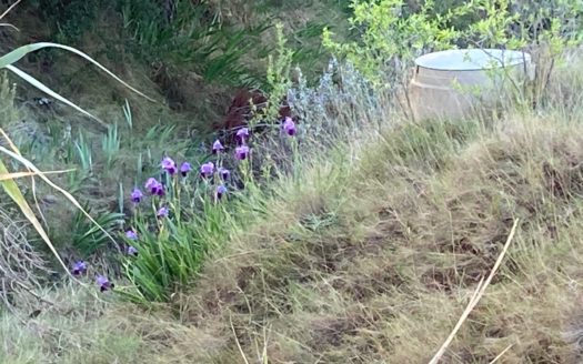 CT 096 Almacen agricola en zona protegida en Biar.