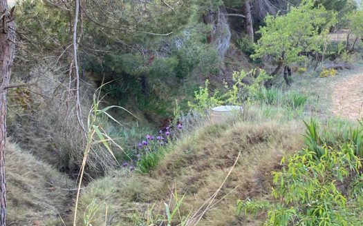 CT 096 Almacen agricola en zona protegida en Biar.