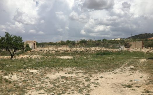 CT 101 almacen agricola en zona industrial