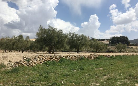 CT 101 almacen agricola en zona industrial