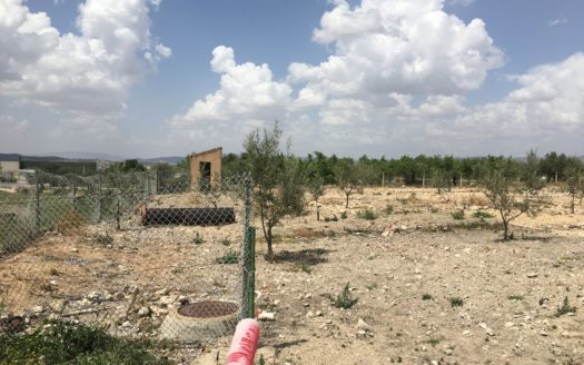 CT 101 almacen agricola en zona industrial