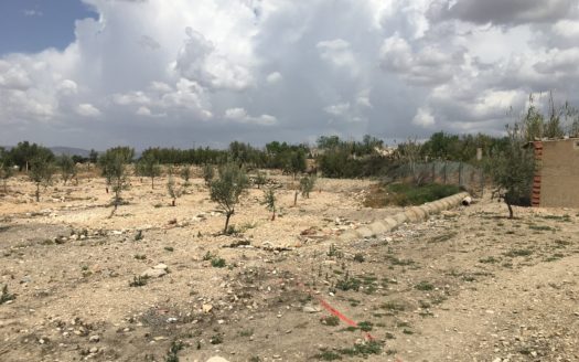 CT 101 almacen agricola en zona industrial