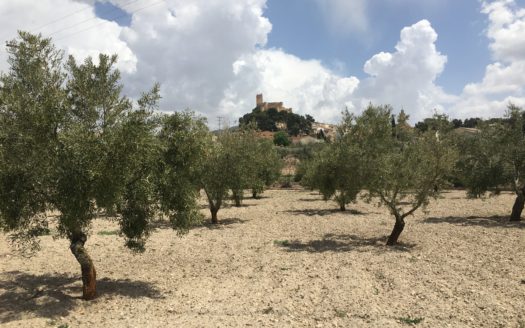 CT 101 almacen agricola en zona industrial