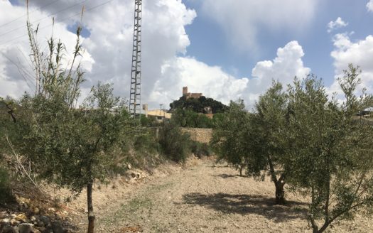 CT 101 almacen agricola en zona industrial